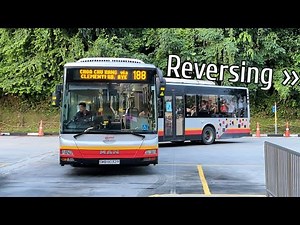 Bendy Bus RETURNS to Harbourfront after 6 YEARS! | SMB8032R on Bus 188