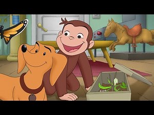 Hundley Jr. 🐵Curious George 🐵Kids Cartoon 🐵Kids Movies 🐵Videos for Kids