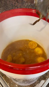 Got us a few Crabs from our Grand Isle trip but not enough to break out the big pot so we gonna use our Swamp Buckets, LLC to boil them up 😁 #deliciousfood #bluecrabs #crabs #seafood | Hymel’s Kajun Kitchen