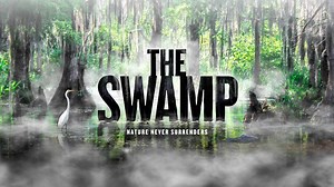 The Swamp: American Experience - Twin Cities PBS
