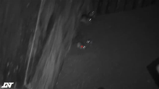 vermin & pest control 💯💥🐀👌 on Instagram: "Out controlling feral pigeon with this absolutely brilliant set up RTI Arms MORA Paired with the dnt zulus 3-12 Extremely impressed with the picture quality through the scope.Just editing my latest youtube channel video 📹 I'll get the full video up as soon as possible. Session preview Kit used while out RTI Arms MORA. 22 DNT Optics SunwayfotoT3620CS tripod system JSB Match Diabolo hades Thermtec wild 650 Thermal spotter Check my youtube channel for 