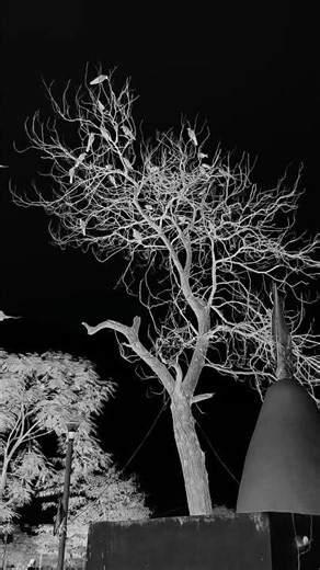 Bhoot😱🥺💀😭 #horror #shorts