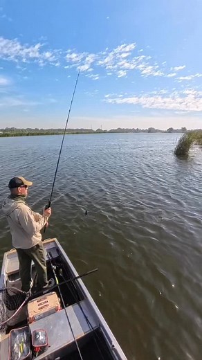 80 reactions · 5 comments | Giant Snakehead power—there’s nothing...