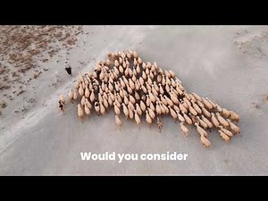 How Drones Are Revolutionizing Livestock Farming in 2025