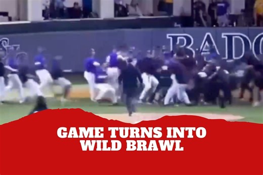 All out brawl! Baseball game turns into chaos after a team?s celebration turns into a massive fight
