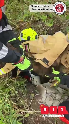 Hoy rescatamos a un pequeño amigo... 🐾❤️