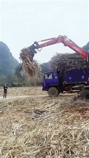 JG 100Z Log Grapple Ultimate Tool for Wood Handling Construction Customization/OEM/Global Agents