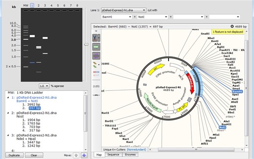 如何用snapgene软件构建质粒