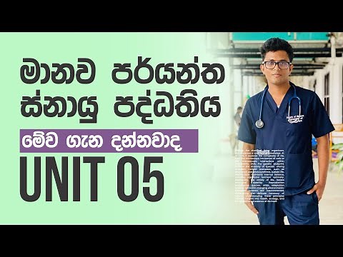 මානව පර්යන්ත ස්නායු පද්ධතිය | Peripheral nervous system | snayu paddathiya |Unit 05 | AL Bio