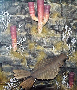 Reconstructions of the Burgess Shale Biota (Middle Cambrian; western Canada)