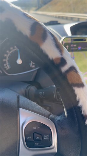 When you finally get to be the passenger princess #passengerprince #woreout | Mariah Medina Mullins