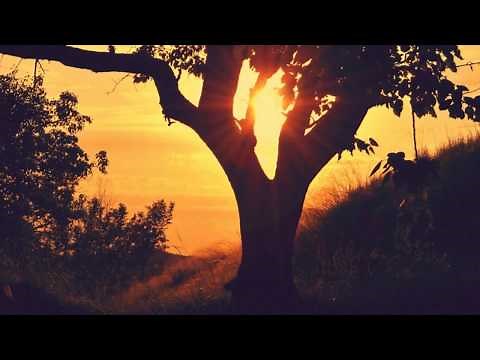 Puiu Chibici – În bunătatea Ta, Isus