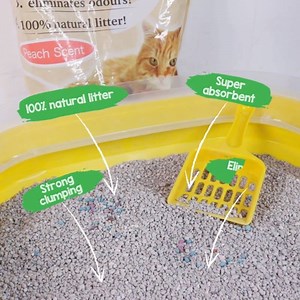 5.8K views · 111 reactions | Don't just use any sand for your cat's litter box. Go for a strong clumping litter like Empress that provides long lasting odour control and is super absorbent for easy clean up! Available in Fresh, Peach, Apple, Jasmine, and Unscented variants. #PurrfectCare | CatCare Cat Food | Facebook