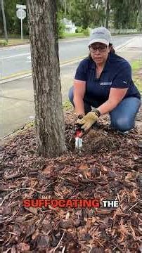 Tree Tips | Mulch Appreciated