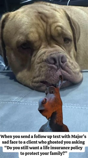 Who wouldn't respond to my puppy?