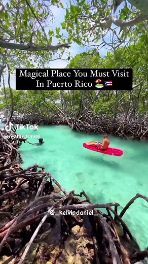Don’t miss this opportunity to visit Icacos Island this summer 2024! Visit Puerto Rico for more fun adventures, we can take you there. Realprtravel.com @RealPR.Travel (TikTok) Real PR Travel, is your one stop shop for vacation planning and concierge services in Puerto Rico 🇵🇷 Our services include: 🇵🇷Full Itinerary Building 🇵🇷Flights 🇵🇷Hotel/Vacation Rentals 🇵🇷Car Rental Services 🇵🇷VIP Tables 🇵🇷Dinner Reservations 🇵🇷Beach Massage 🇵🇷Private Chef 🇵🇷Airport Pick up & Drop off 🇵�