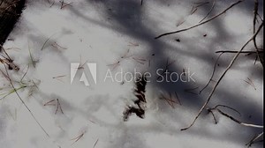 This POV video shows the perspective of someone urinating in the snow.