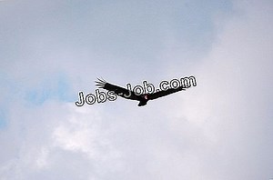 Comment Écrire Des Courriels Diplomatiques | Promotion - 2026