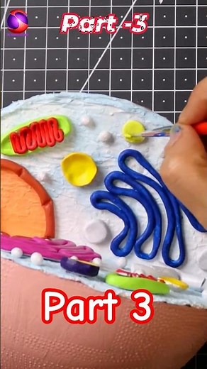 Science Exhibition Project Model | Part-3