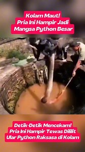 181K views · 964 reactions | Kolam Maut! Momen Mencemaskan! Detik-Detik Mengerikan Pria Ini Hampir Jadi Mangsa Python Besar. #momen #buaya #ular #phyton #cobra #anaconda #hewan #snack #crocodile #aligator #animals #aneh #horor #viralpostシ #viralvideoシ #fypシ | Niclas Tee Tagal | Facebook