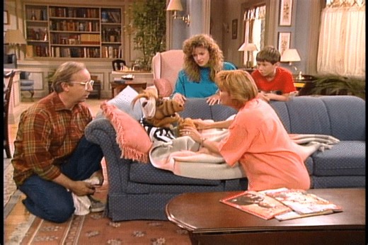 217K views · 681 reactions | Remember when ALF tried to be the family ref? ‍♂️ Chaos ensued! What game did he play? #ALF #comedy #tvshow #referee #humor #80s | Alf | Facebook