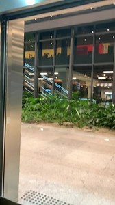 113K views · 6.7K reactions | Aeroporto de floripa  | Florianópolis Praias SC. | Facebook