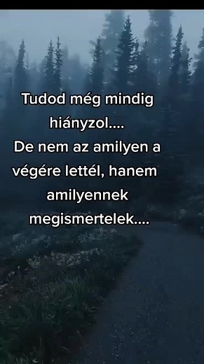 Exploring the Mystique of Misty Forests