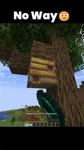 Minecraft Bee Dimension Moment 🐝 #minecraft #shorts