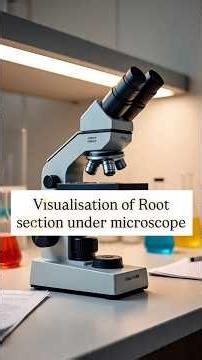 Roots: Nature’s Incredible Architectures #roots #microscope