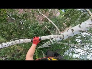 Speedline technique walkthrough (live)