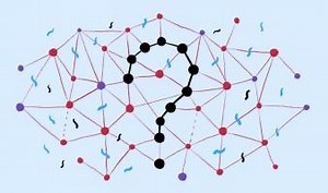 Algoritmos genéticos y sistemas de percepción