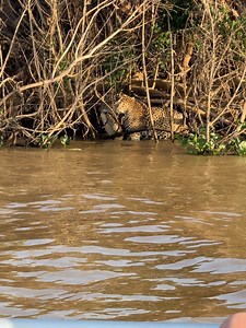 Araya Vlogs on Reels