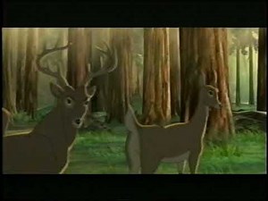 Opening to Shrek (US VHS, 2001)