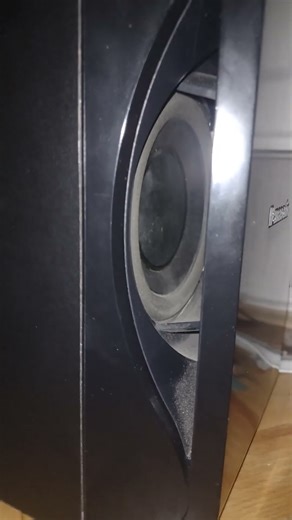 Max volume test #music #bass #subwoofer