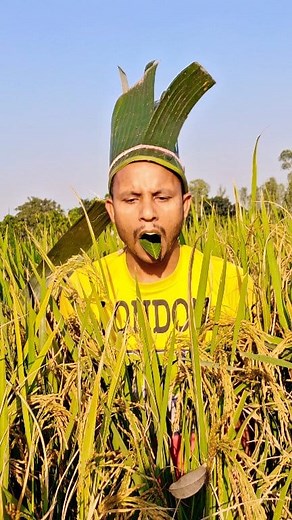 The Secret Trap for Catching Parrots #reels #funny #NigerianComedy #comedy #animal #bird #parrot | Sohel Trap Studio