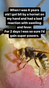 4.6K views · 29 reactions | All I got was the ability to cry really loud. Any of you guys get bit by an insect when you were really young and dreamed of getting powers from it like Spider-Man? | stardaze.80 | Facebook