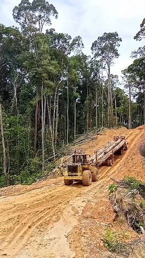 Wheelloader pushing a loaded logging truck uphill #video #logging #loggingtruck #wheelloader | Edy Supono