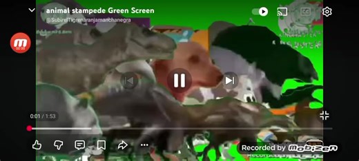 Animal Stampede Green Screen for Creative Projects