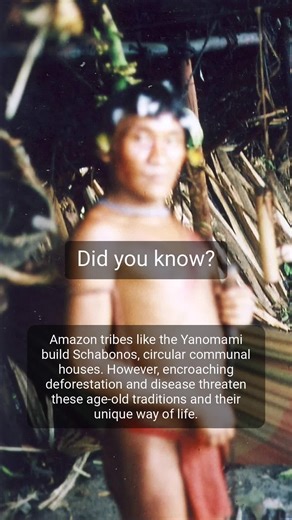 Amazonian tribes #theamazon #nature #nationalpark #amazonrainforest #adventure #travel