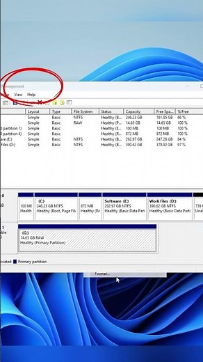 How to Convert RAW USB to NTFS or exFAT on Windows