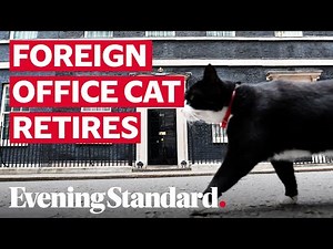 Palmerston the Foreign Office cat retires from Chief Mouser duties