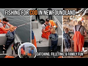 🎣 Recreational Cod Fishing with a True Newfoundland Seaman | Catch & Process 🍽️