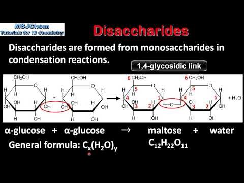 B.4 Disaccharides (SL)