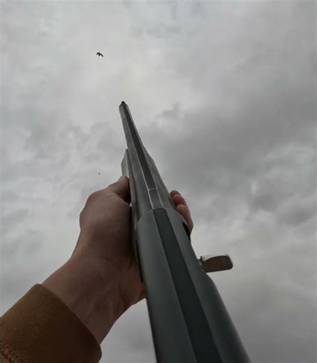 Snow goose #waterfowl #hunting