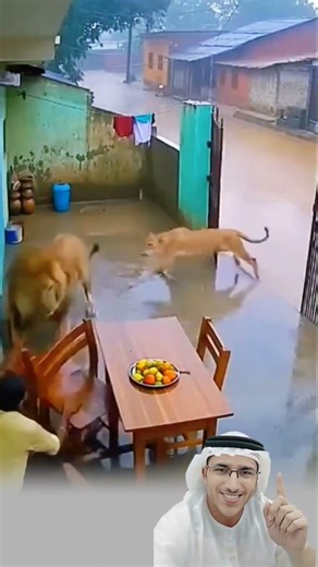 حين يفتح العبد بابه مطمئنًا، يبعث الله له من حيث لا يحتسب حارسًا فالله خير الحافظين😱👍🏻#youtubeshorts