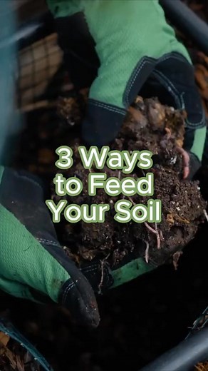 23K views · 179 reactions | s this TOO much MULCH I dont think so A thick layer of mulch protects the soil and insulates my plants roots I water less and my plants are happier mulch  #garden #homegarden #soil #grow #fyp #reels #viral | aliyaeatss3 | Facebook