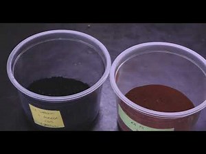 UFLA desenvolve microalgas para produzir bioenergia e tratar esgoto