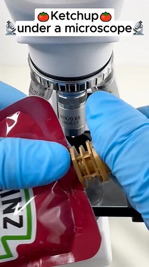 30K views · 273 reactions | Ketchup magnified 400 times is incredible#microscope #fyp #amazing #tik | Tiny.world.lens | Facebook