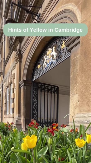 Exploring the Hints of Yellow Around Cambridge