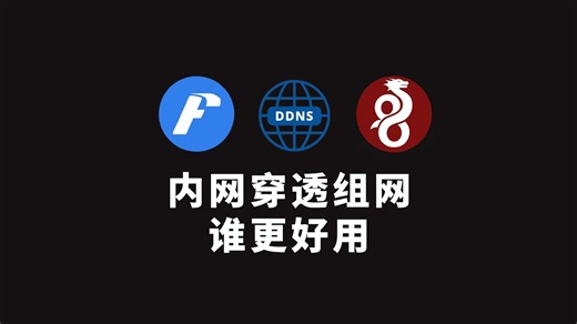 FRP DDNS WG 自建内网穿透组网方案 让内网服务远程访问 我都试过了 谈谈感受！